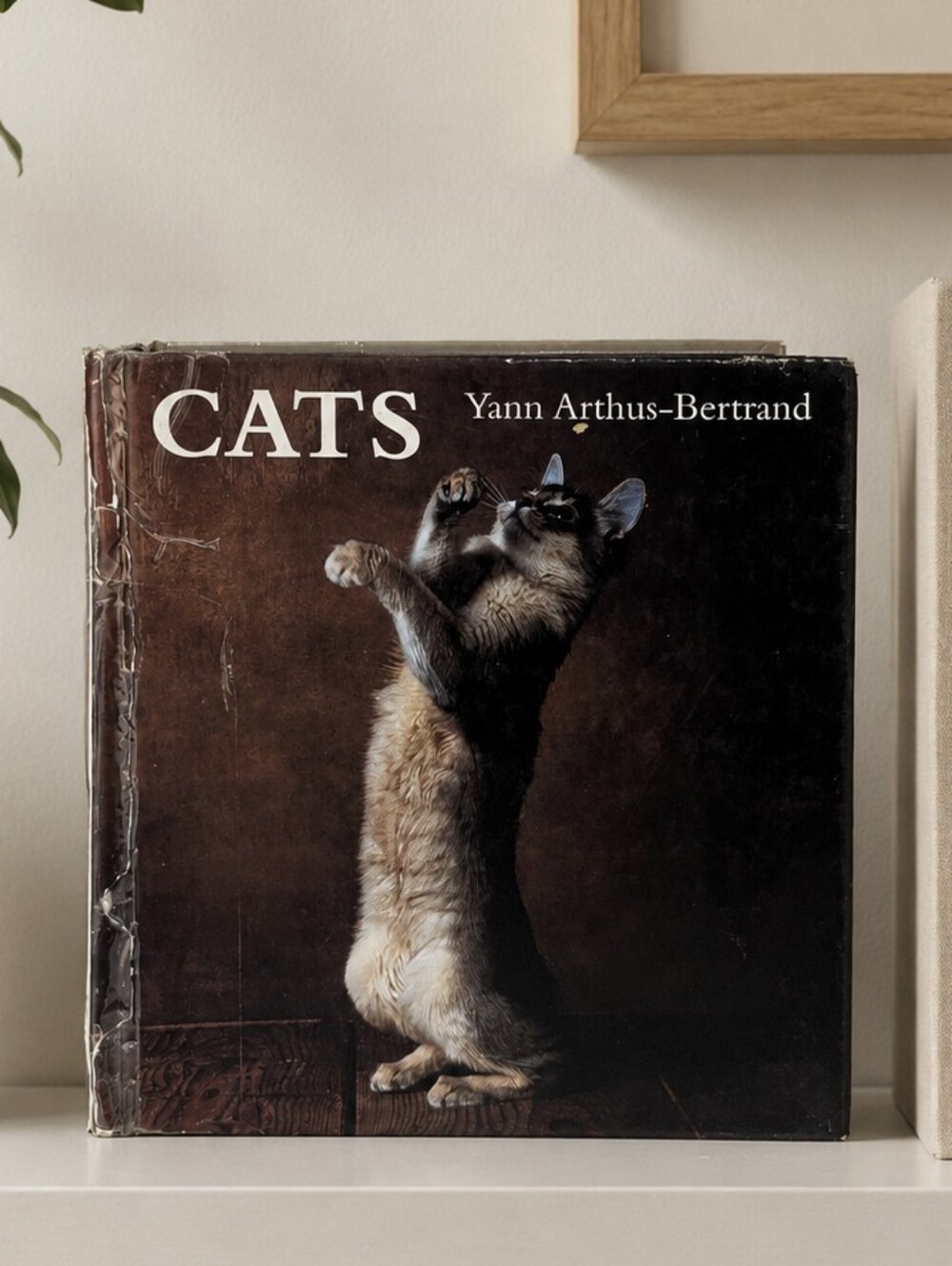 Cats Yann Arthus-Bertrand Large Hardcover Photo Book